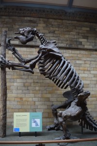 He's been climbing the walls for millions of years!