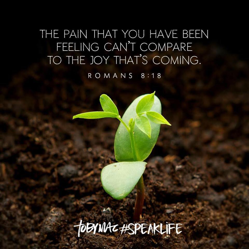 12189676_173433106338085_5047281701740731870_n