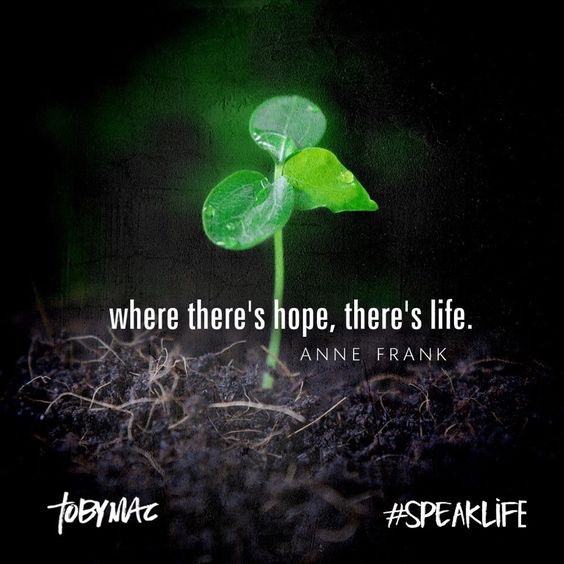 12e0be0b-7bab-4510-b496-5e43e0eb1e07-2830-0000017ff60aa968_tmp